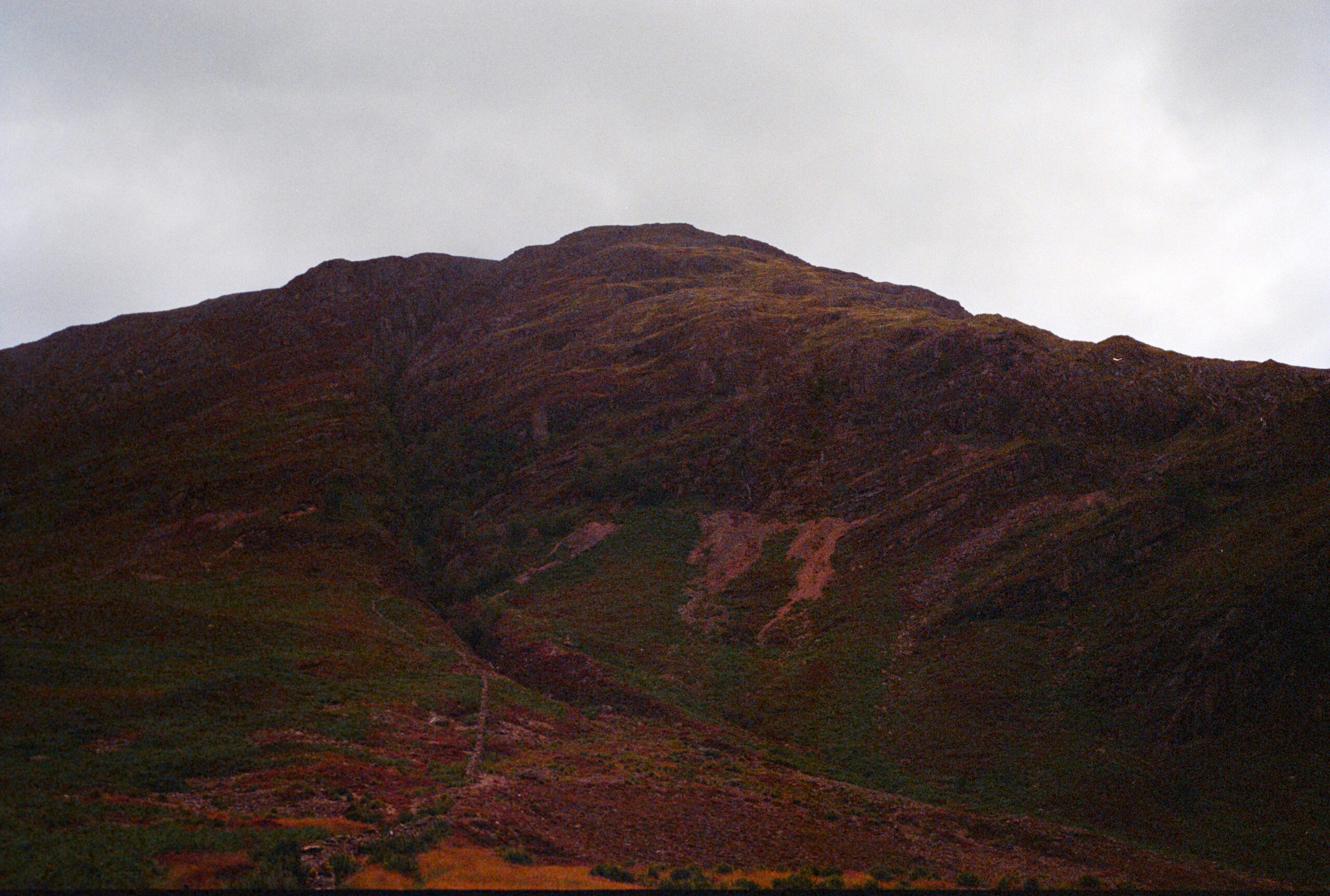 Film Photo taken near Inverness, Scotland (2024)